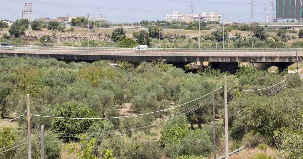 Natura, torri e chiese rupestri: alla scoperta di Lama Picone, il "fiume di Bari"